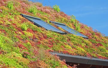 Lippitts Hill living roof systems